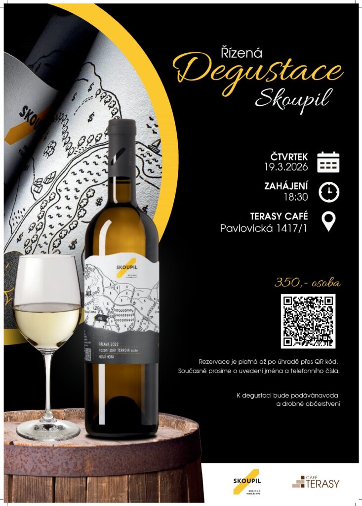 Plakát Desugtace Skoupil A3